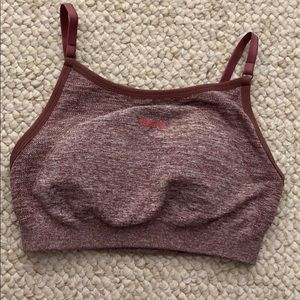 Small gym shark sports bra